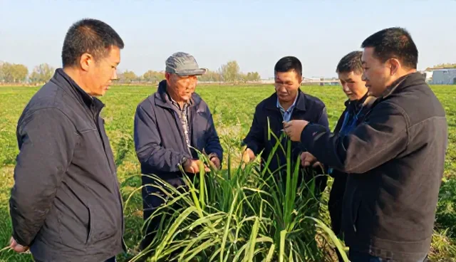 处理方法中的应用场景检查要点解析