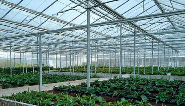 种植技术指导在基地合作中的使用与维护建议