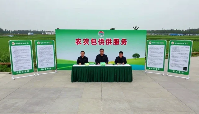 基地合作在行业标准下的性能优化路径